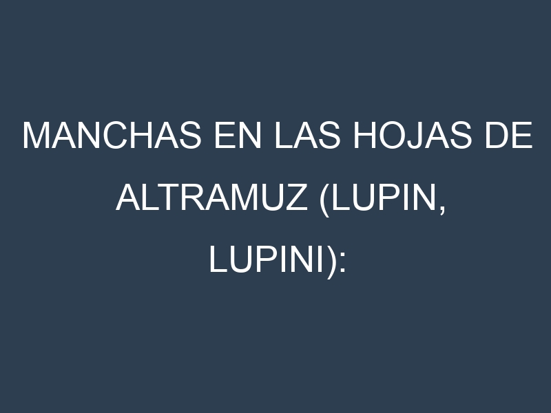 Manchas en las hojas de Altramuz (Lupin, lupini): Identificación, Causas y Estrategias de Control Efectivo