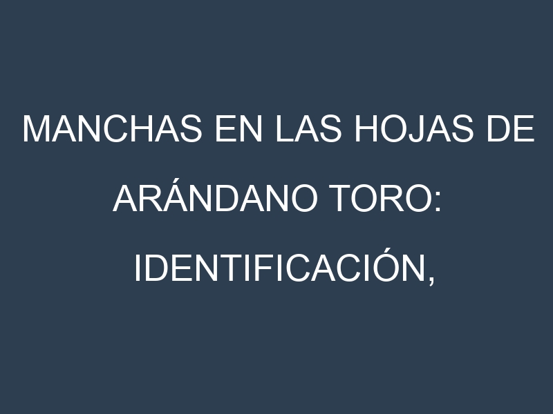 Manchas en las hojas de Arándano Toro: Identificación, Causas y Estrategias de Control Efectivo