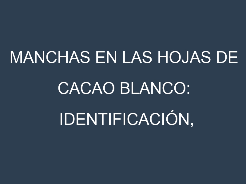 Manchas en las hojas de Cacao blanco: Identificación, Causas y Estrategias de Control Efectivo