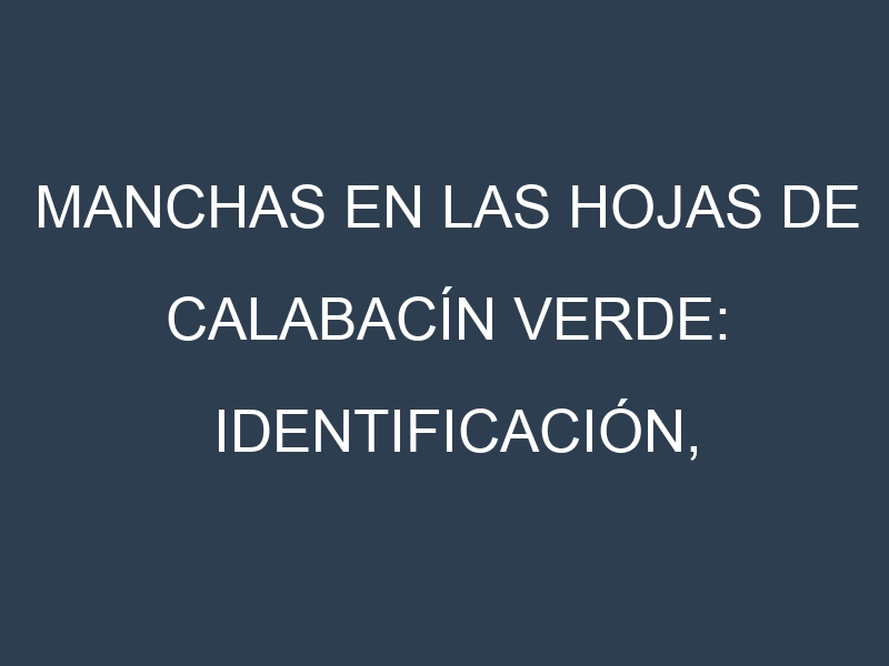 Manchas en las hojas de Calabacín verde: Identificación, Causas y Estrategias de Control Efectivo
