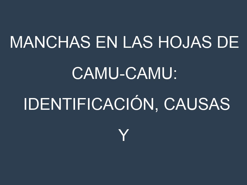 Manchas en las hojas de Camu-camu: Identificación, Causas y Estrategias de Control Efectivo