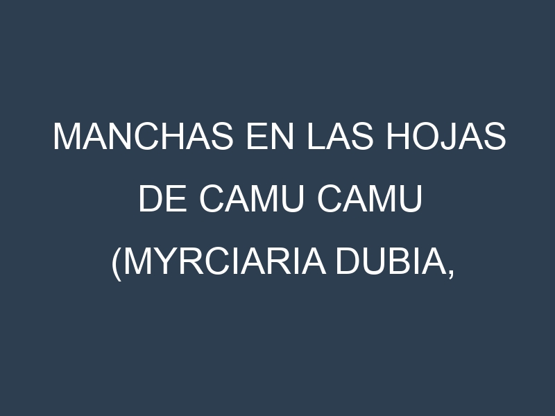 Manchas en las hojas de Camu camu (Myrciaria dubia, camu-camu): Identificación, Causas y Estrategias de Control Efectivo