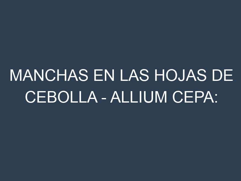 Manchas en las hojas de Cebolla – Allium cepa: Identificación, Causas y Estrategias de Control Efectivo