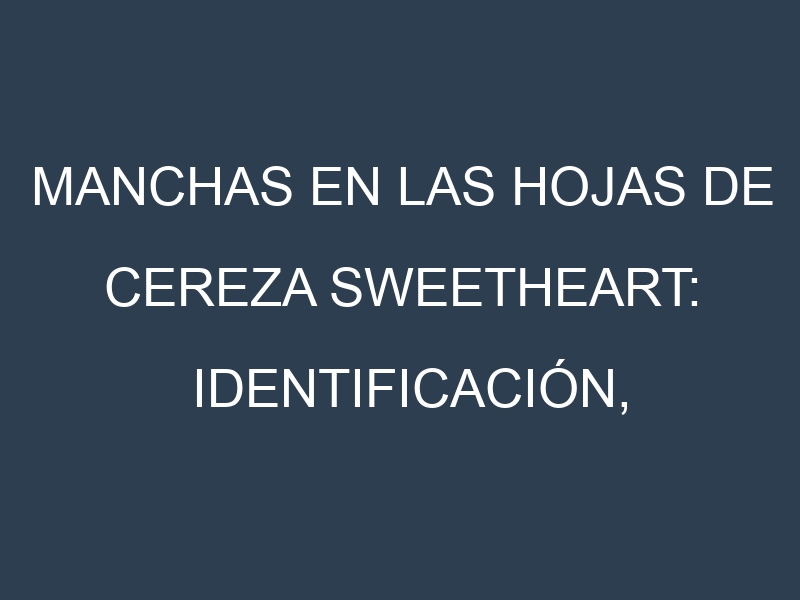 Manchas en las hojas de Cereza Sweetheart: Identificación, Causas y Estrategias de Control Efectivo