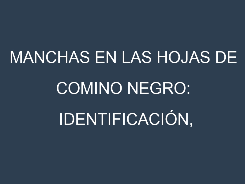Manchas en las hojas de Comino negro: Identificación, Causas y Estrategias de Control Efectivo