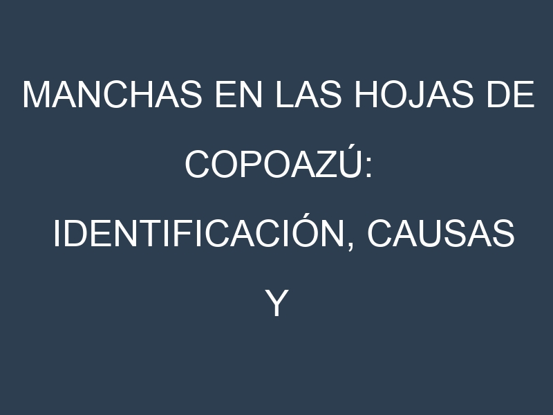 Manchas en las hojas de Copoazú: Identificación, Causas y Estrategias de Control Efectivo