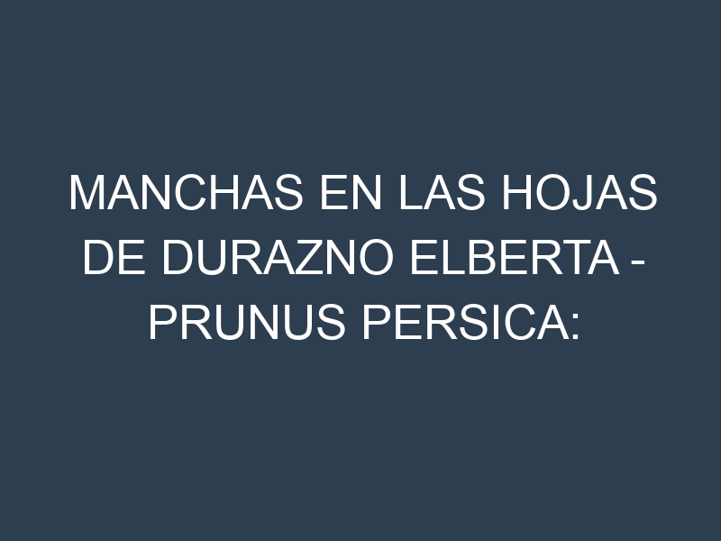 Manchas en las hojas de Durazno Elberta – Prunus persica: Identificación, Causas y Estrategias de Control Efectivo