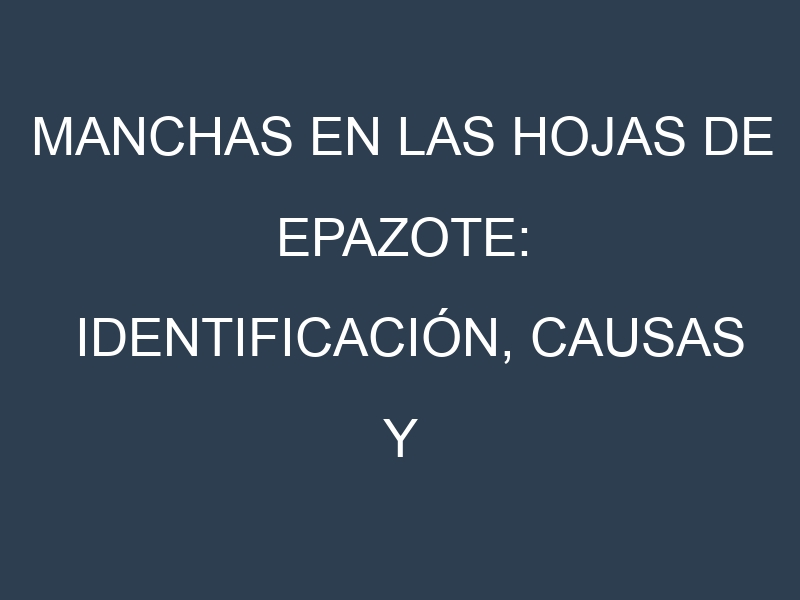 Manchas en las hojas de Epazote: Identificación, Causas y Estrategias de Control Efectivo
