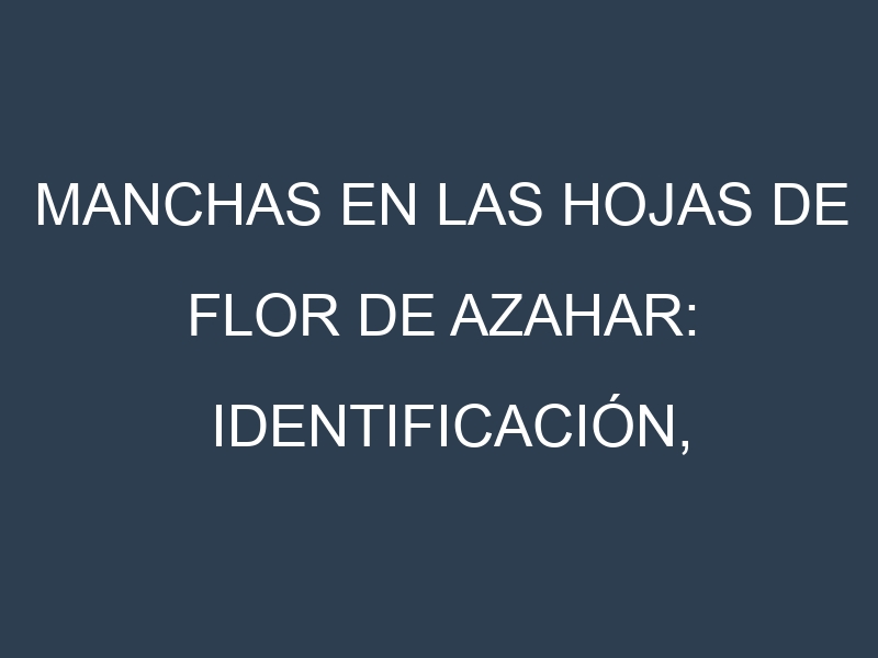 Manchas en las hojas de Flor de azahar: Identificación, Causas y Estrategias de Control Efectivo