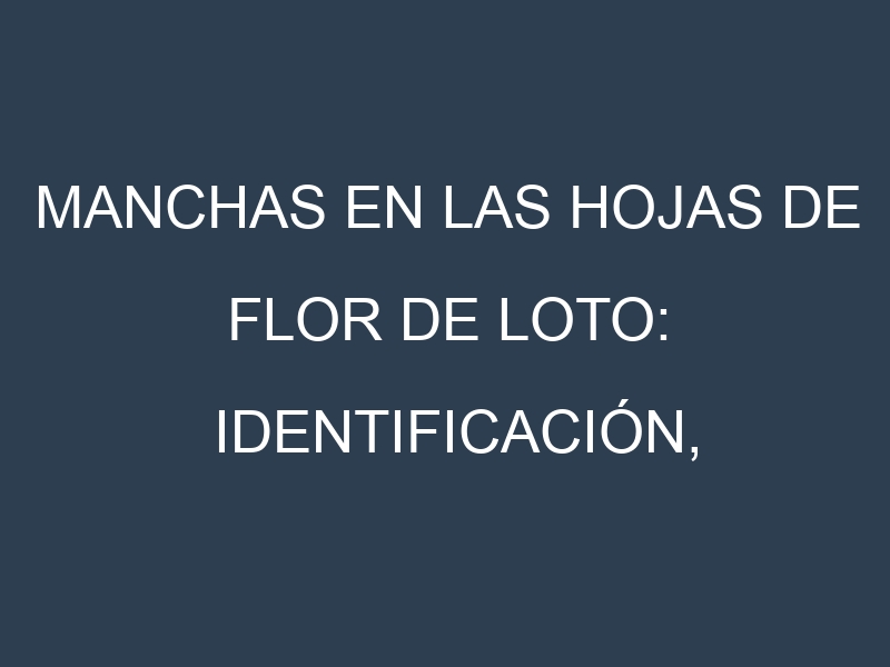 Manchas en las hojas de Flor de loto: Identificación, Causas y Estrategias de Control Efectivo