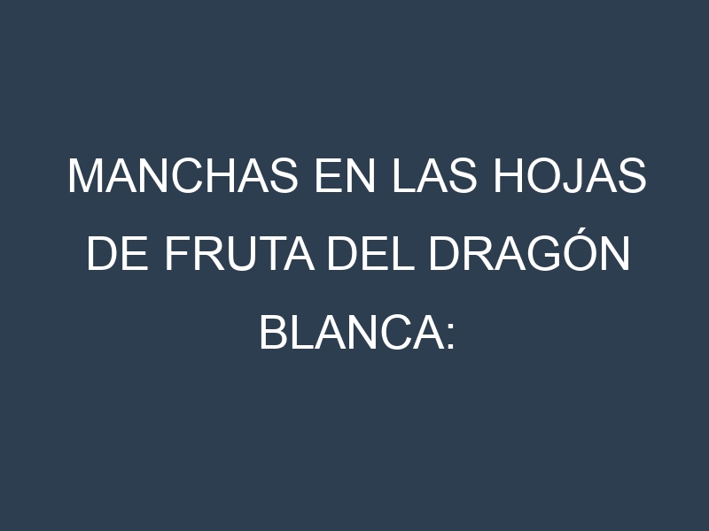Manchas en las hojas de Fruta del dragón blanca: Identificación, Causas y Estrategias de Control Efectivo