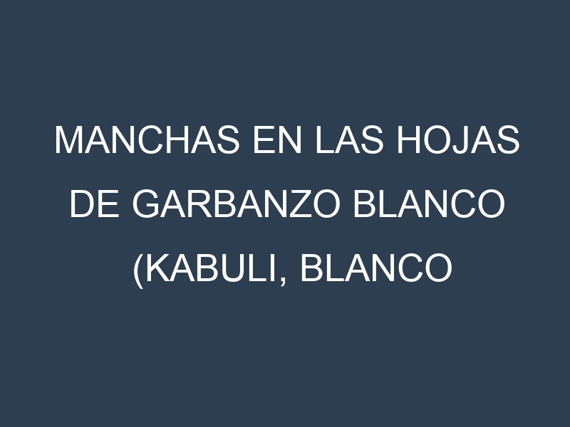 Manchas en las hojas de Garbanzo blanco (Kabuli, Blanco Sinaloa, Chino Blanco, Royal Chickpea, Spanish Desi): Identificación, Causas y Estrategias de Control Efectivo