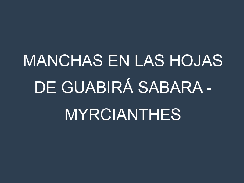 Manchas en las hojas de Guabirá Sabara – Myrcianthes pungens: Identificación, Causas y Estrategias de Control Efectivo
