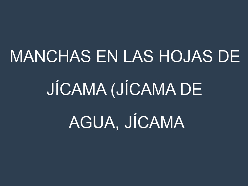 Manchas en las hojas de Jícama (Jícama de Agua, Jícama Criolla, Jícama Pachuca, Agua Dulce, Veracruzana): Identificación, Causas y Estrategias de Control Efectivo