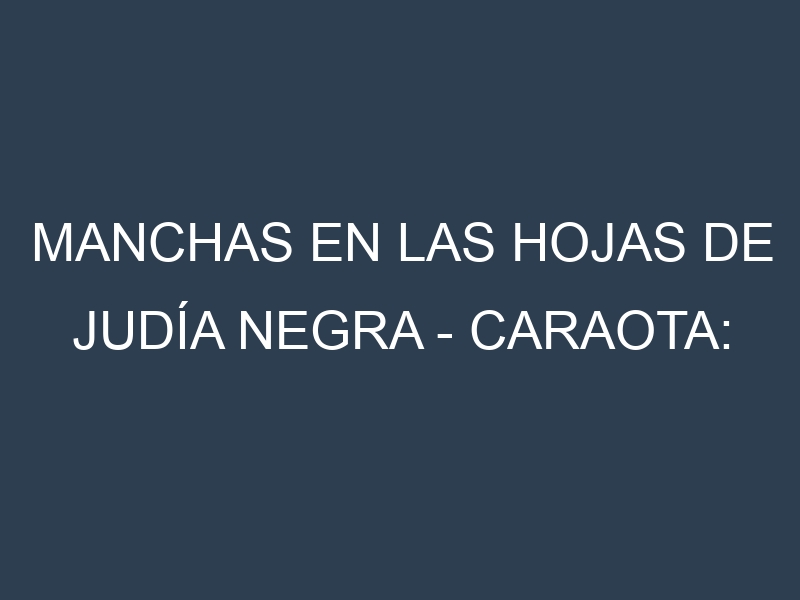 Manchas en las hojas de Judía negra – Caraota: Identificación, Causas y Estrategias de Control Efectivo
