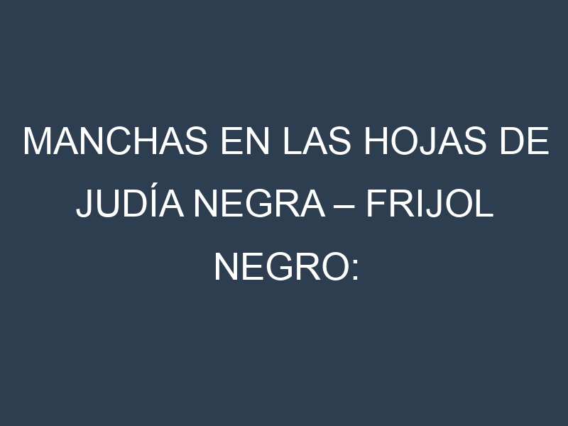 Manchas en las hojas de Judía negra – Frijol negro: Identificación, Causas y Estrategias de Control Efectivo