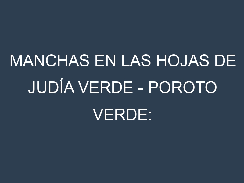 Manchas en las hojas de Judía verde – Poroto verde: Identificación, Causas y Estrategias de Control Efectivo