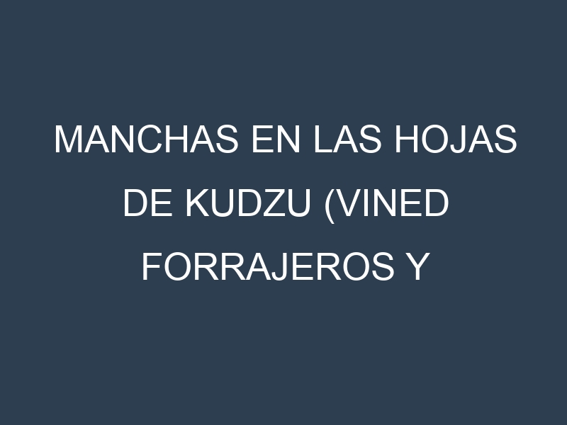Manchas en las hojas de Kudzu (vined forrajeros y medicinales): Identificación, Causas y Estrategias de Control Efectivo
