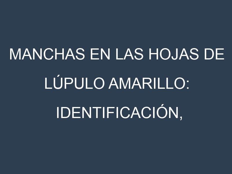 Manchas en las hojas de Lúpulo amarillo: Identificación, Causas y Estrategias de Control Efectivo