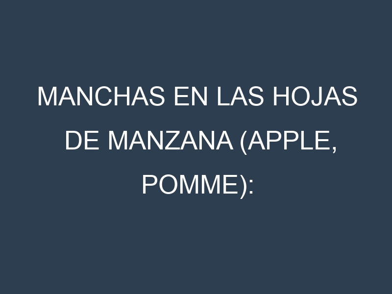 Manchas en las hojas de Manzana (Apple, pomme): Identificación, Causas y Estrategias de Control Efectivo
