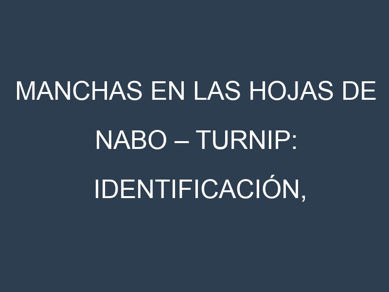 Manchas en las hojas de Nabo – Turnip: Identificación, Causas y Estrategias de Control Efectivo