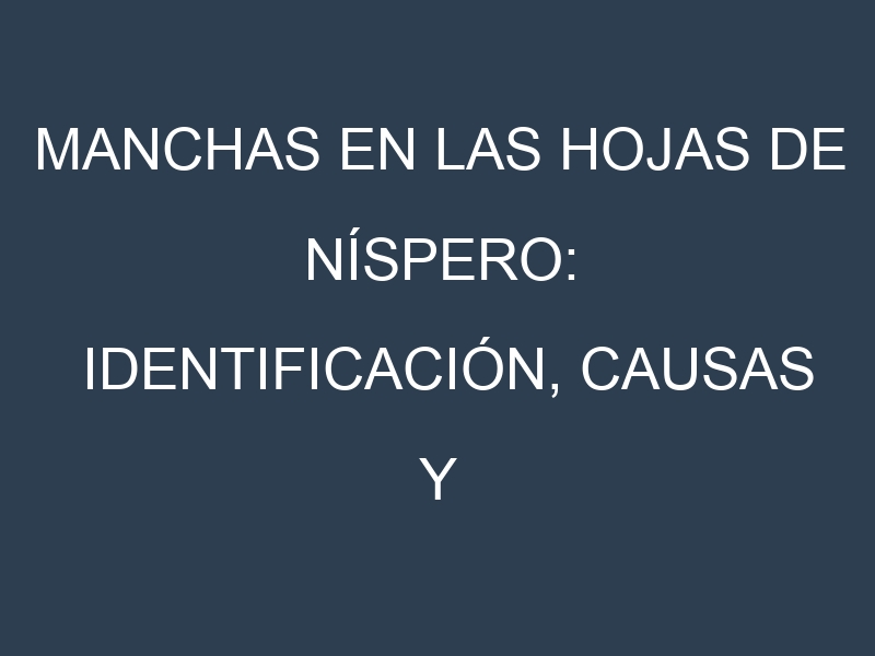 Manchas en las hojas de Níspero: Identificación, Causas y Estrategias de Control Efectivo