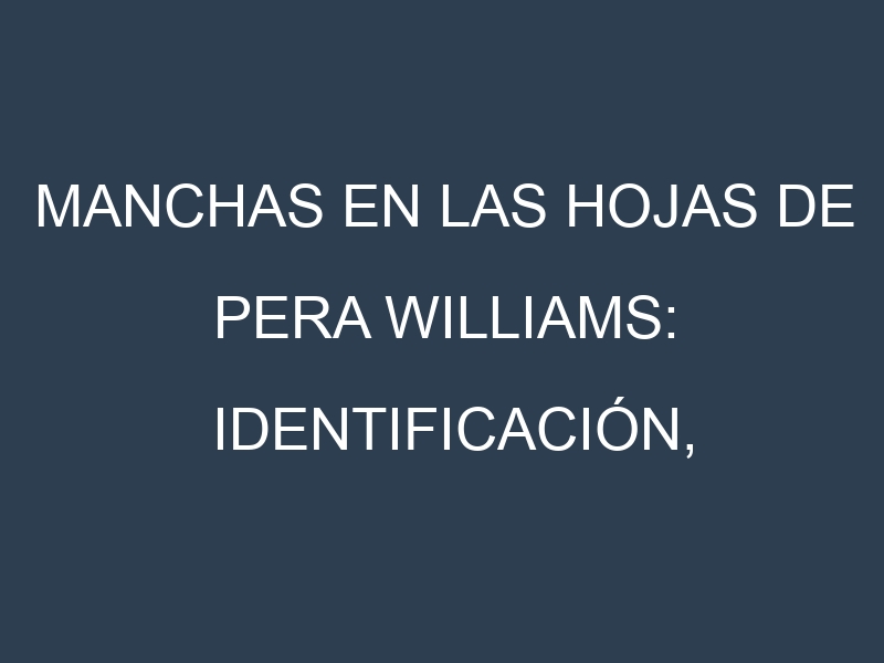 Manchas en las hojas de Pera Williams: Identificación, Causas y Estrategias de Control Efectivo