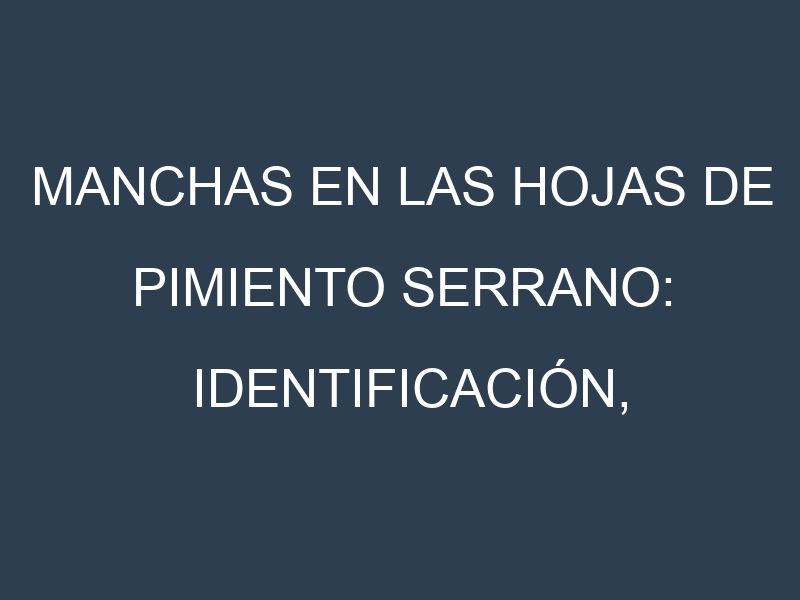 Manchas en las hojas de Pimiento serrano: Identificación, Causas y Estrategias de Control Efectivo