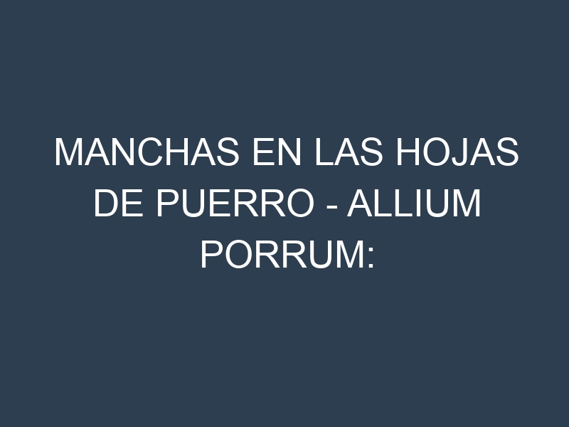 Manchas en las hojas de Puerro – Allium porrum: Identificación, Causas y Estrategias de Control Efectivo