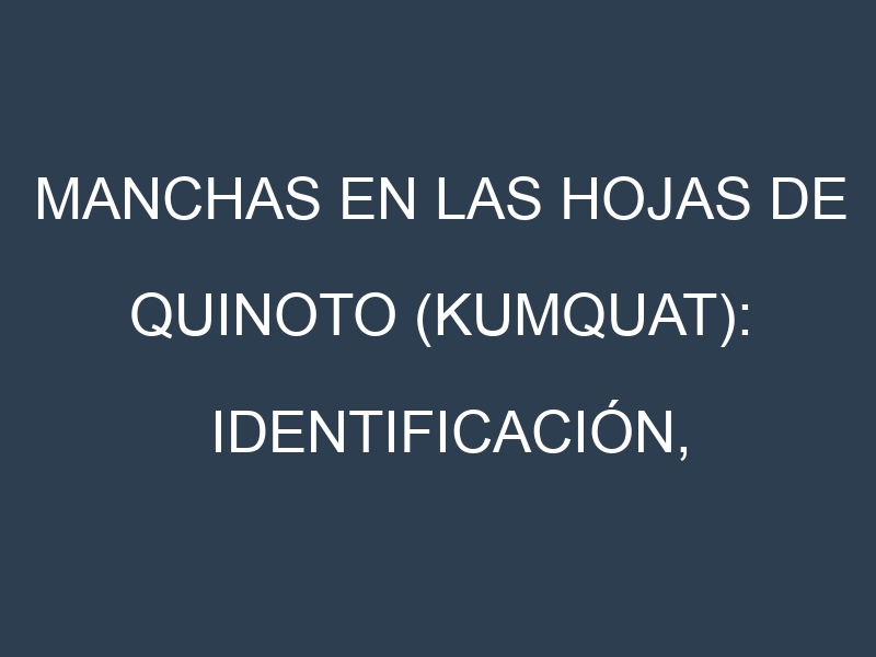 Manchas en las hojas de Quinoto (kumquat): Identificación, Causas y Estrategias de Control Efectivo