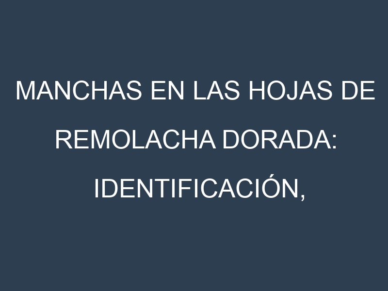 Manchas en las hojas de Remolacha dorada: Identificación, Causas y Estrategias de Control Efectivo