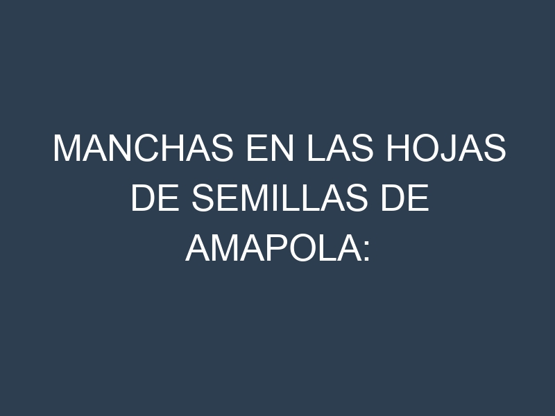 Manchas en las hojas de Semillas de amapola: Identificación, Causas y Estrategias de Control Efectivo