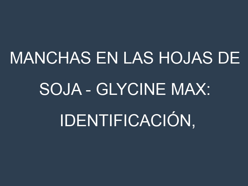 Manchas en las hojas de Soja – Glycine max: Identificación, Causas y Estrategias de Control Efectivo