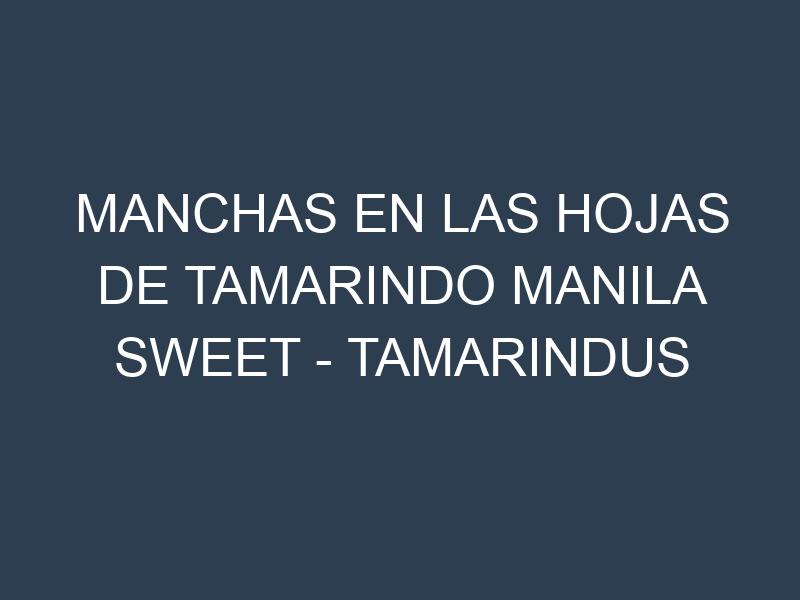 Manchas en las hojas de Tamarindo Manila Sweet – Tamarindus indica: Identificación, Causas y Estrategias de Control Efectivo