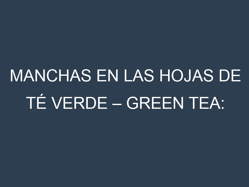 Manchas en las hojas de Té verde – Green tea: Identificación, Causas y Estrategias de Control Efectivo