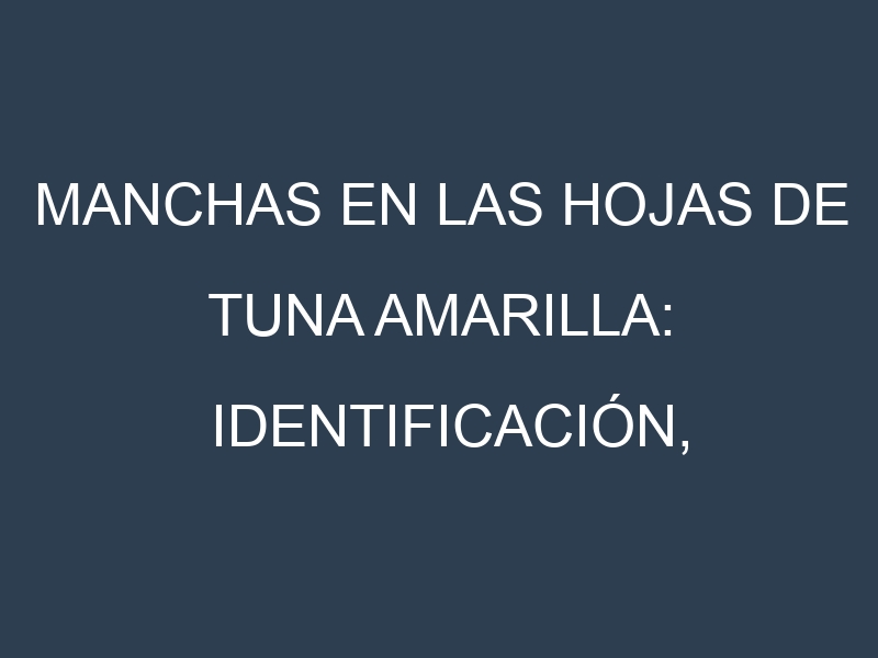 Manchas en las hojas de Tuna amarilla: Identificación, Causas y Estrategias de Control Efectivo