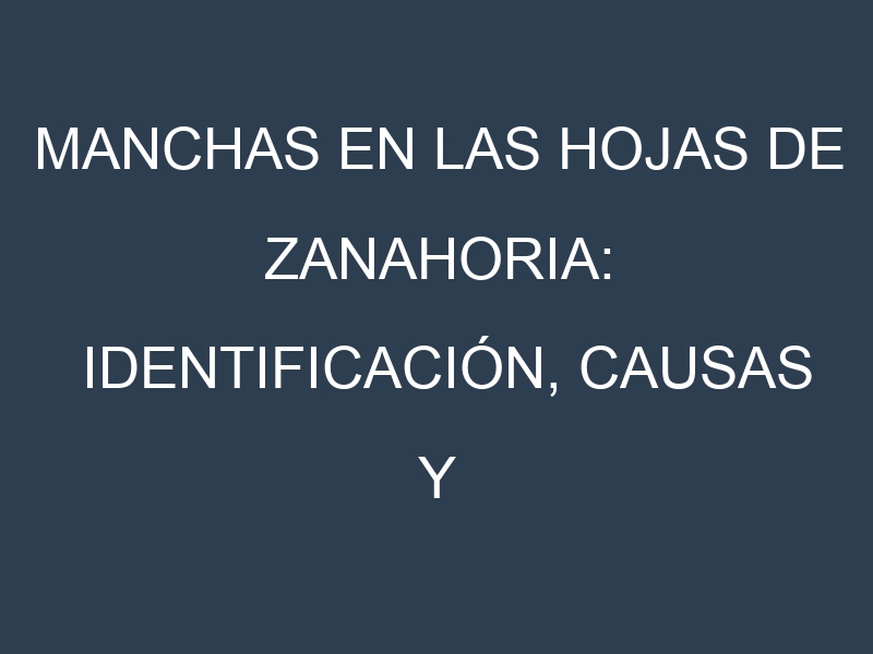 Manchas en las hojas de Zanahoria: Identificación, Causas y Estrategias de Control Efectivo