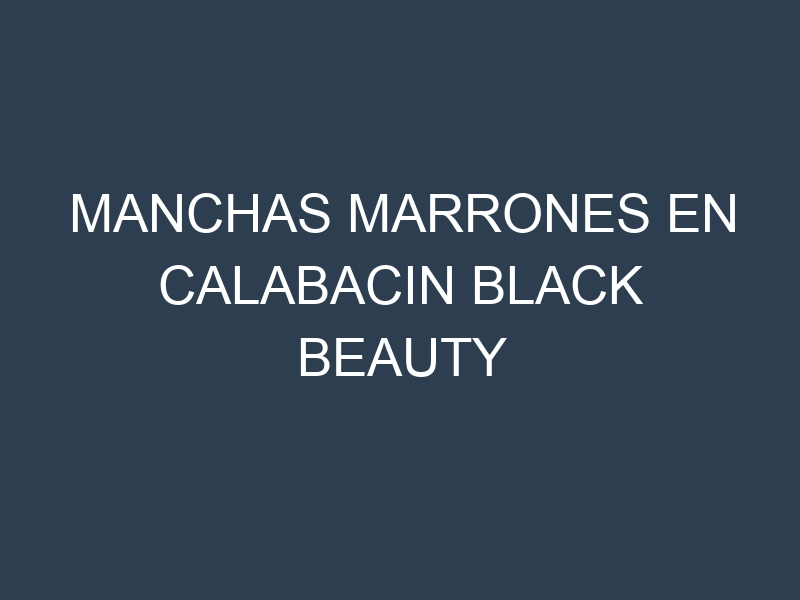 Manchas Marrones en Calabacin Black Beauty