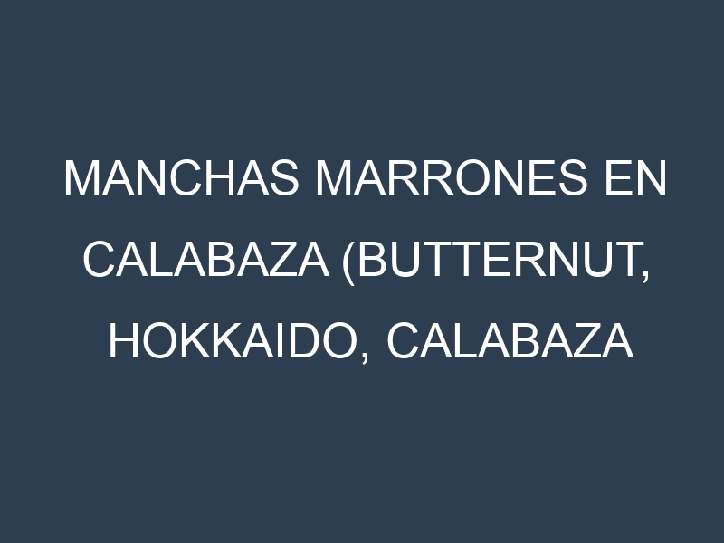 Manchas Marrones en Calabaza (Butternut, Hokkaido, Calabaza de Castilla, Halloween). Hojas con manchas marrones en Calabaza (Butternut, Hokkaido, Calabaza de Castilla, Halloween).