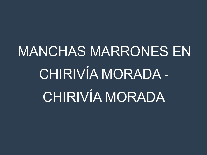 Manchas Marrones en Chirivía morada – Chirivía morada común. Hojas con manchas marrones en Chirivía morada – Chirivía morada común.