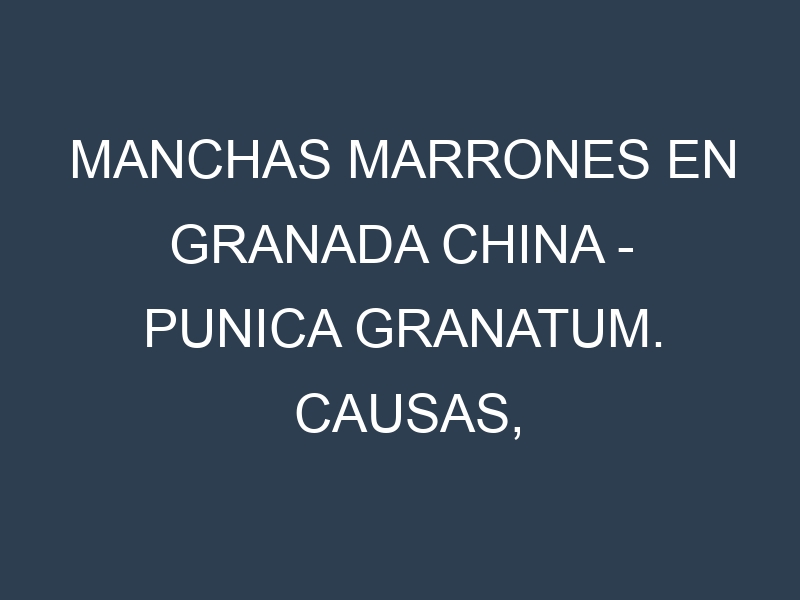 Manchas marrones en Granada china – Punica granatum. Causas, Prevención y Soluciones