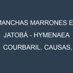 Manchas marrones en Jatobá – Hymenaea courbaril. Causas, Prevención y Soluciones