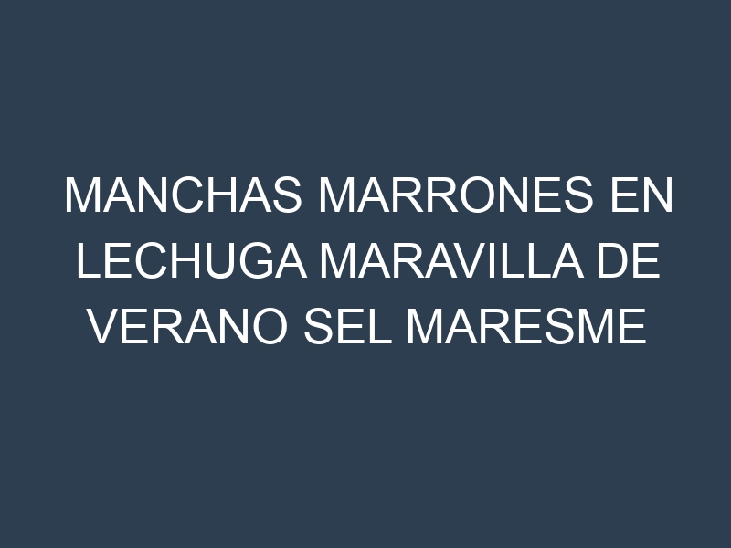 Manchas Marrones en Lechuga Maravilla De Verano Sel Maresme Ecologica