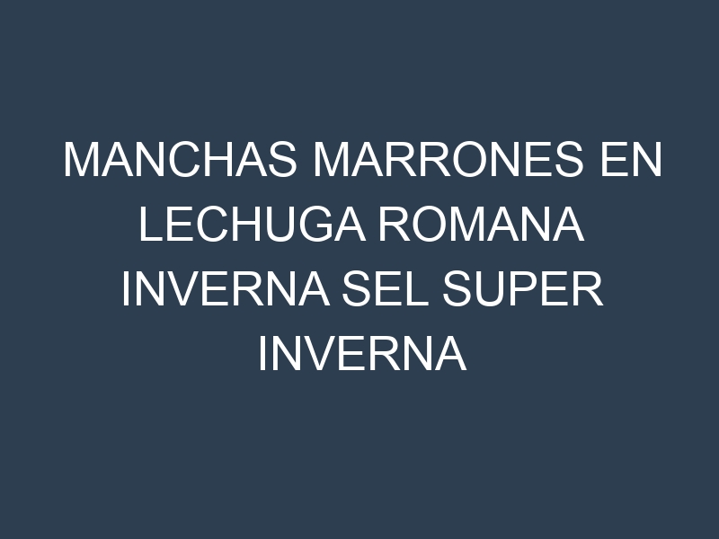 Manchas Marrones en Lechuga Romana Inverna Sel Super Inverna