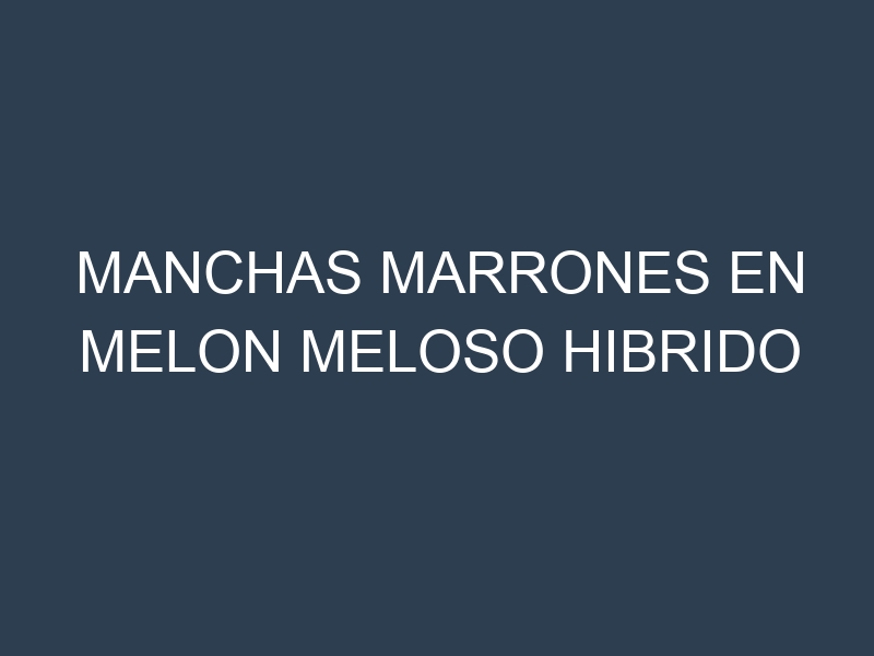 Manchas Marrones en Melon Meloso Hibrido