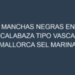 Manchas Negras en Calabaza Tipo Vasca Mallorca Sel Marina
