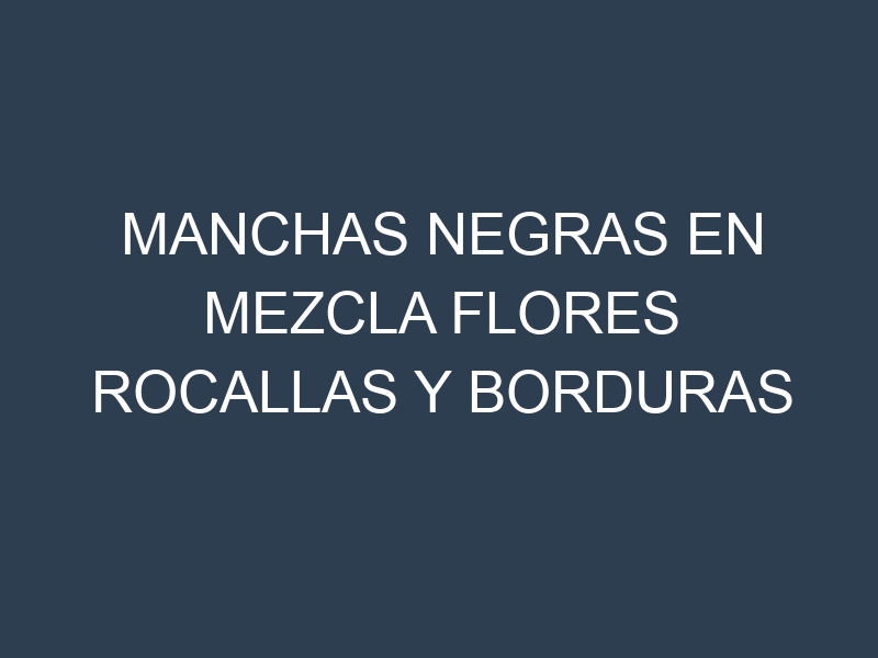 Manchas Negras en Mezcla Flores Rocallas Y Borduras