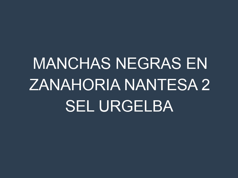 Manchas Negras en Zanahoria Nantesa 2 Sel Urgelba
