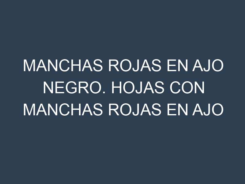 Manchas rojas en Ajo negro. Hojas con manchas rojas en Ajo negro.