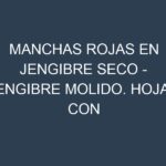 Manchas rojas en Jengibre seco – Jengibre molido. Hojas con manchas rojas en Jengibre seco – Jengibre molido.